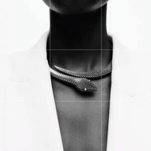 ZARA Snake serpentine serpent Choker Necklace In Silver | NWOT